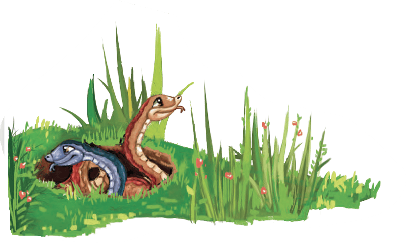 snake
