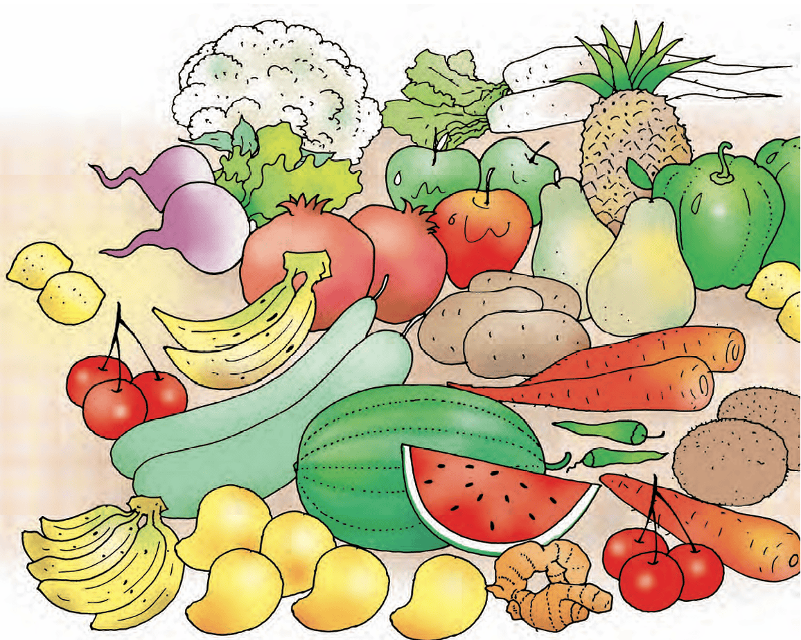 fruits
