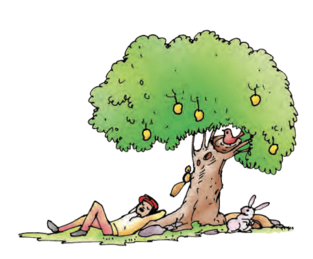 tree