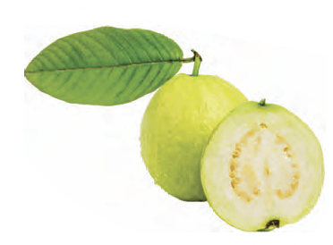 guava