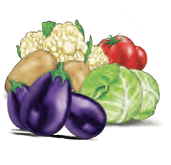vegetables