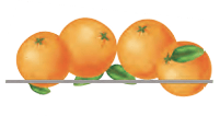 oranges