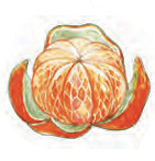 oranges
