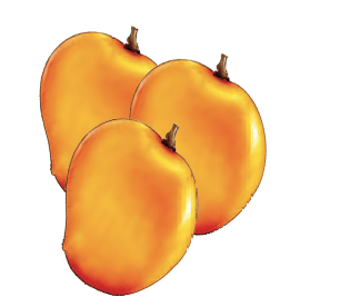 mangoes