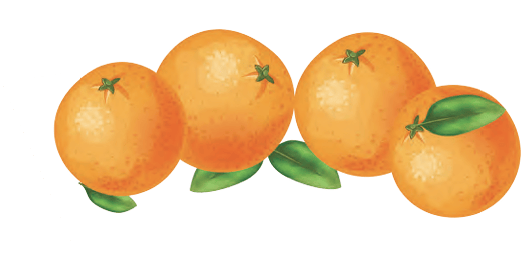 oranges