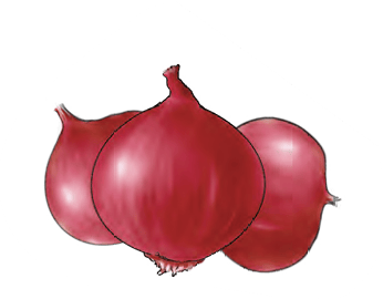 onions