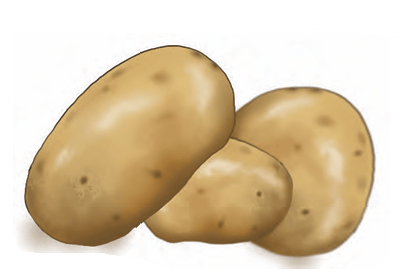 potatoes
