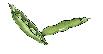 peas