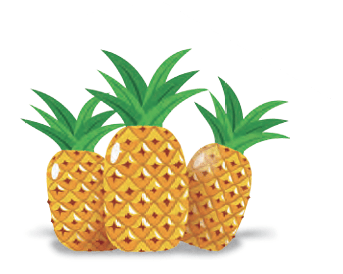 pineapples