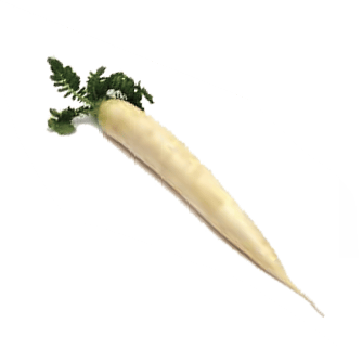 radish