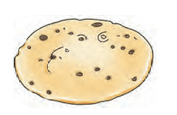 chocopie