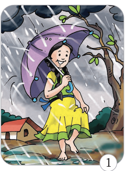 rain