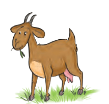 bakri