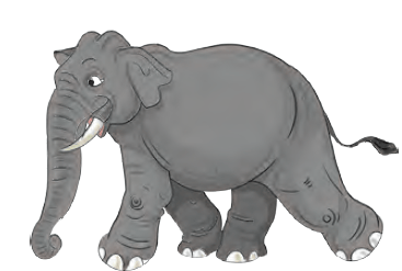 hathi