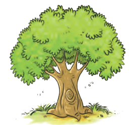 tree