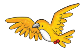 chidiya