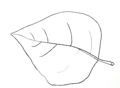 img16