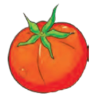 tamatar