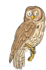 ullu