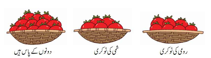 Screenshot 2026-02-19 at 15-07-12 Class 1 Math Urdu ch 6.pdf