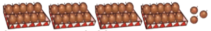 43 chikoos