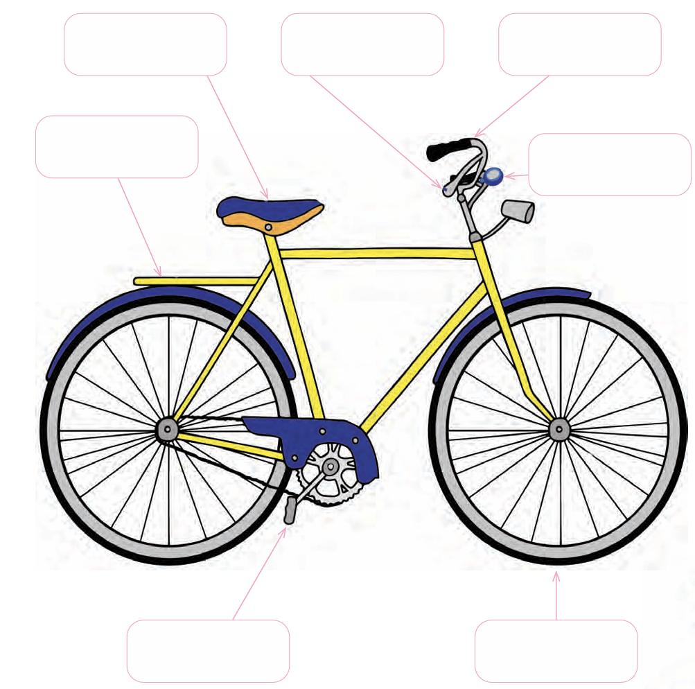 magic bicycle