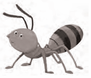 ant