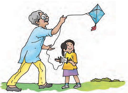 kite