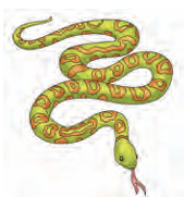 snake crawls