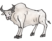 ox