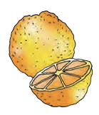 orange