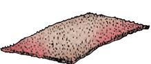 rug