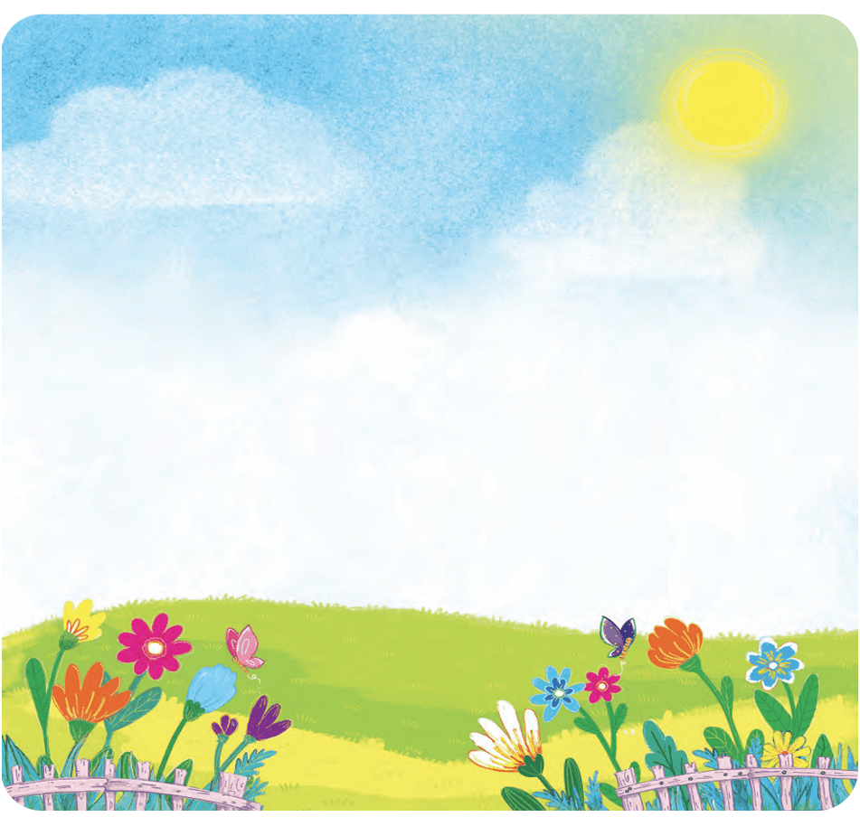 scenary