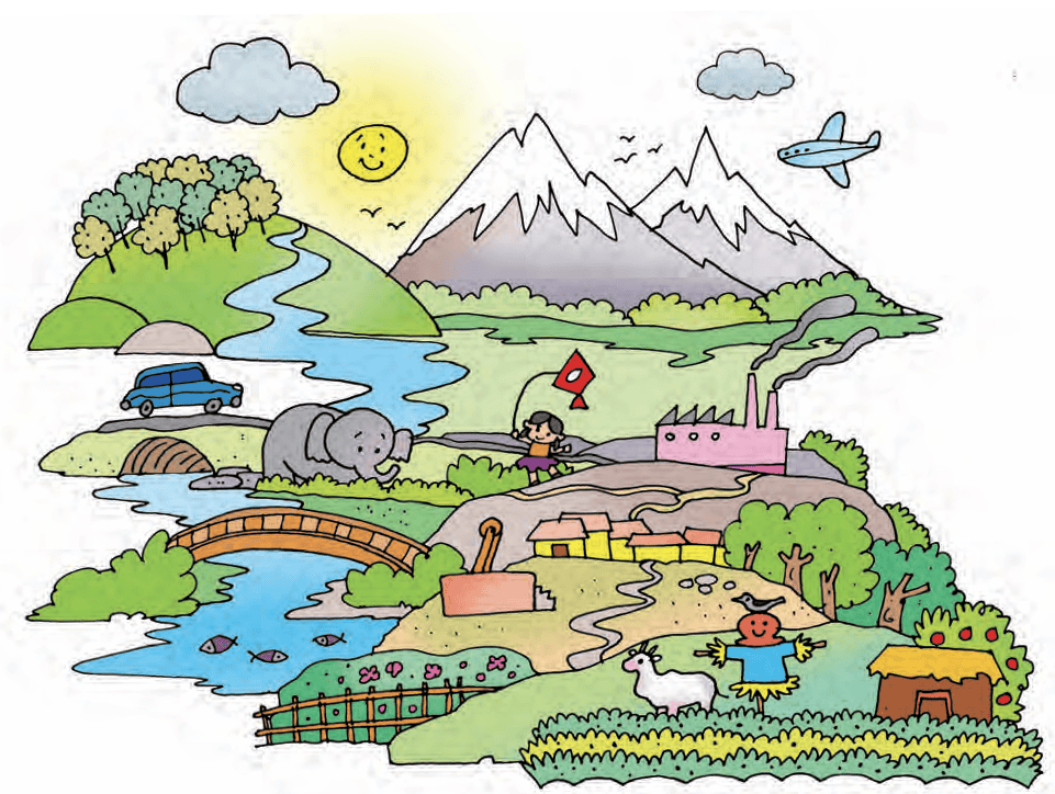 scenary
