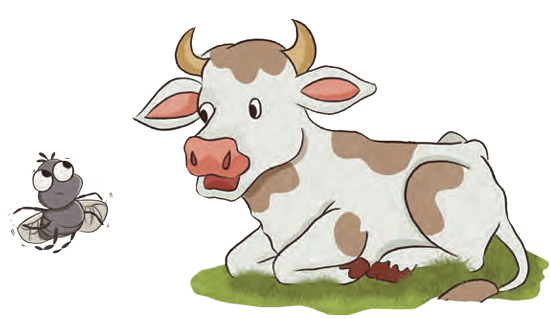 cow