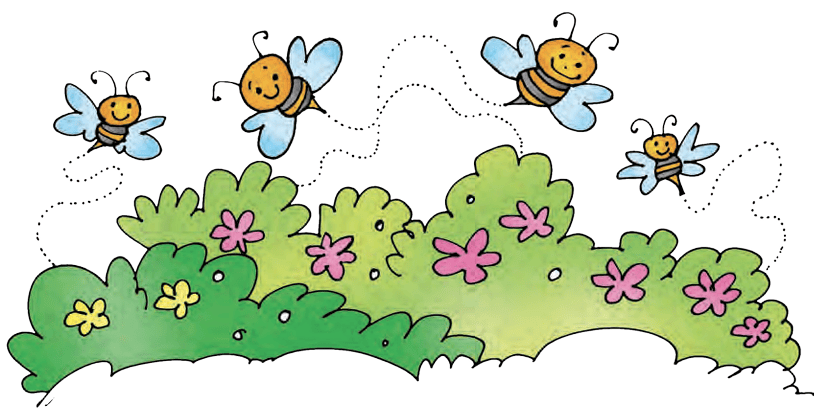 honeybees