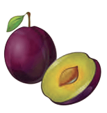 plum