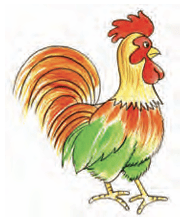 chicken