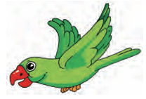 parrot