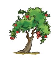 apple tree