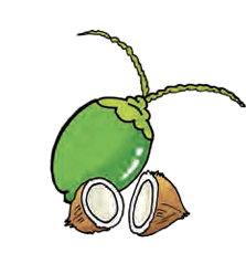 coconut