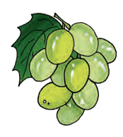 grapes
