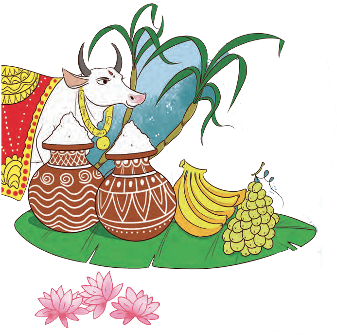 pongal