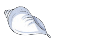 Screenshot 2025-04-09 094021