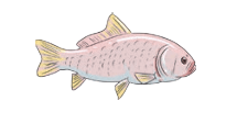 Screenshot 2025-04-17 115645
