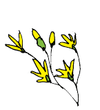 img46