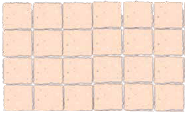 chikki2