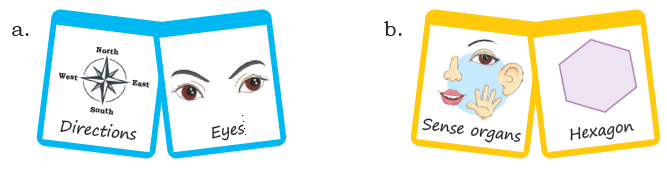 eyes