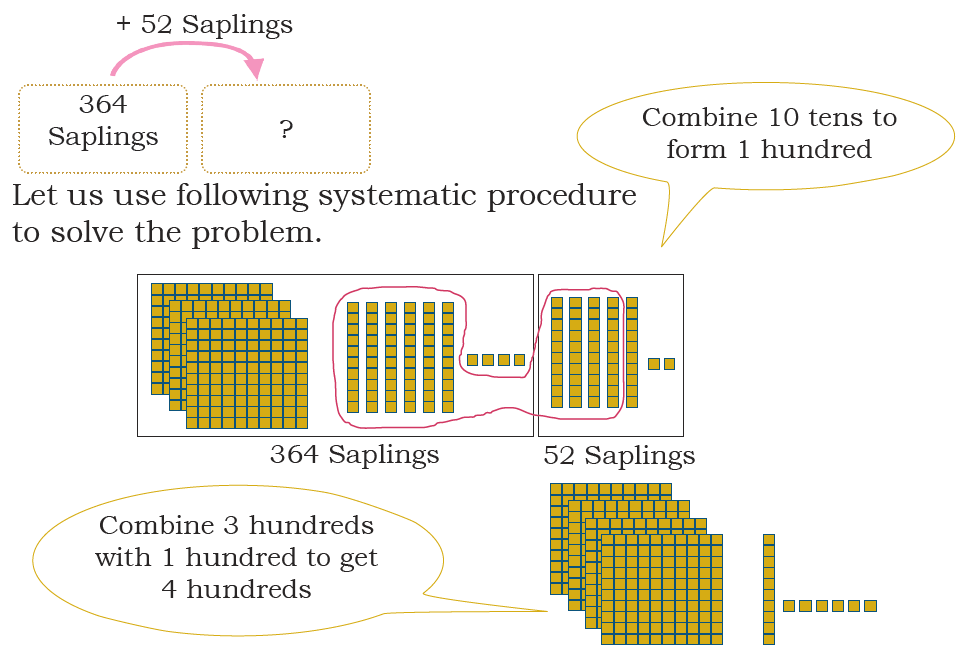 52sapling