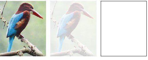 Screenshot 2024-08-30 104004